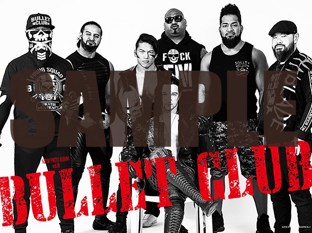 表紙はジェイ・ホワイト！好評の大型グラビア企画｢NJPW PHOTO ALBUM｣では｢BULLET CLUB｣特集！『Road to THE NEW BEGINNING 2019 パンフレット』が発売中！…