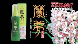 蘭夢 黄金率 CM 薬用育毛剤 医薬部外品