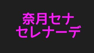 奈月セナのセレナーデから話題のネタまで集めてみた件