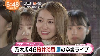 桜井玲香涙の卒業ライブ【乃木坂46】