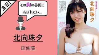 その胸の谷間におぼれたい…北向珠夕 グラビア画像集