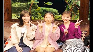 「グータンヌーボ2」、西野七瀬さん、おのののかさん、岡本莉音さんが出演。西野さんが「叫び声が好き。