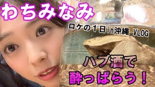 【わちみなみ】ロケの１日in沖縄 VLOG ハブ酒で酔っぱらう！