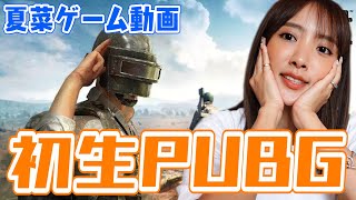 夏菜のPUBG初生配信