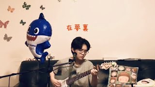 法蘭〈在夢裏〉| cover by米弦