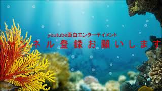 【菜乃花】思わず『エッ、、、！』と言っちゃう画像集