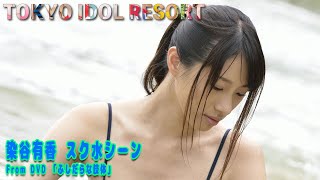 染谷有香 Yuka Someya「ふしだらな肢体」スク水シーン グラビア