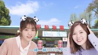 【西野七瀬】&白石麻衣のSUPER DRYバてチヤルあ花見