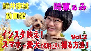 時東ぁみ インスタ映え！スマホで愛犬の写真を上手く撮る方法！Vol.2 鯨井康雄写真館