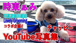 時東ぁみ 愛犬チャッピーYouTube写真集  鯨井康雄写真館