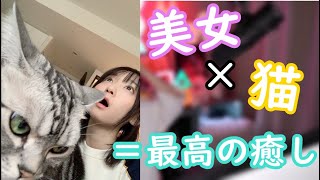 【伊織もえ】※癒されたい人必見※グラビアアイドルがモモちゃんをもふもふする最高の動画