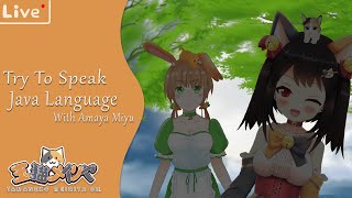 [Journey 28] Piye Kabare Ndes? Try Speak Java Language with Amaya Miyu [コラボ配信VtuberID]