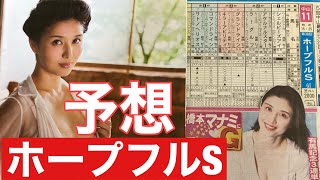 中山競馬11レースG1🏇　ホープフルステークス2000m 予想❣️橋本マナミちゃんに乗れ‼️有馬記念は3連単10-5-7  7,180円が大大的中🎯　ホープフルステークスはオニャンコポンに二重まる