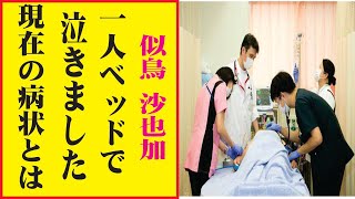 似鳥沙也加の現在！今現在が衝撃的すぎる！