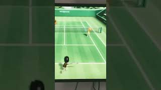 What the heck, I was trying to play Wii tennis with Miyu, but I had missed the ball