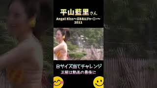 じっくり見ればきっとわかるチャレンジ【平山藍里】2011