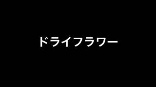 ドライフラワー / 優里【covered by 世界のサトエリ】