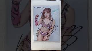 白川未奈（女子プロレスラー）