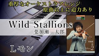 【Wild Stallions / 葉加瀬太郎】エレクトーン