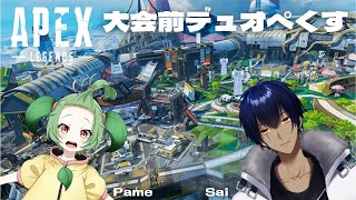 【ApexLegends】大会前デュオ w/ 夏菜ぱめ様【賽 / 新人Vtuber】