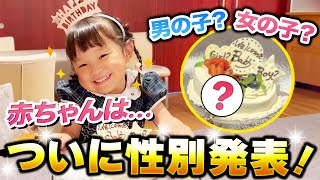 赤ちゃんの性別発表！【ののかちゃんの新しい家族】