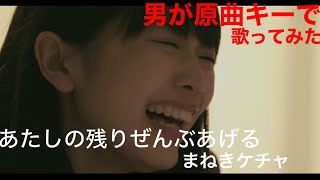 【男が歌う】あたしの残りぜんぶあげる／まねきケチャ