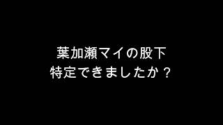 葉加瀬マイの股下測定レポート（年齢制限あり）