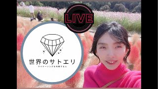 【LIVE】森高は任してください〜やっぱり群猫難しくて歌えない配信〜