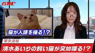 【緊急速報】衝撃！猫が人語を喋る！？【清水あいり】