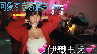 【セクシー】えちえち猫ちゃん伊織もえ💕#伊織もえ #きゅるん