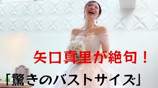 【手島優】驚きのバストサイズ