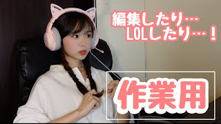 【作業用】パソコン作業してるよ💻