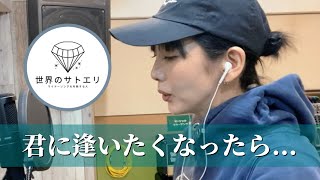 君に逢いたくなったら…｜covered by 世界のサトエリ