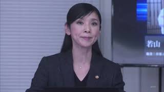 字 ハクタカ 白鷹雨音の捜査ファイル【真木よう子主演 ２時間サスペンス】