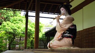 京都 有形文化財の寺院で「芸妓 とし夏菜さん」の舞