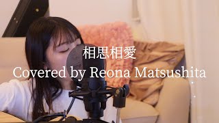 【弾き語り】相思相愛/Covered by Reona Matsushita