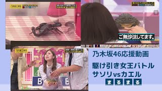 乃木坂46大好き！メンバー応援動画　サソリvsカエル　白石麻衣他