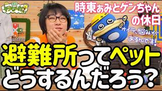 【時東ぁみとゲンちゃんの休日】ペットは避難所でどうしたらいいの？