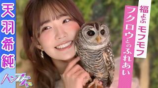 【フクロウ大集合🦉】天羽希純が“福”を呼ぶ癒しの“もふもふカフェ”で大興奮💓｜ハシアゲ ♯39≪無料配信≫